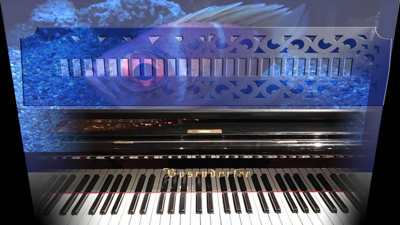 金子 彩子さんの作品